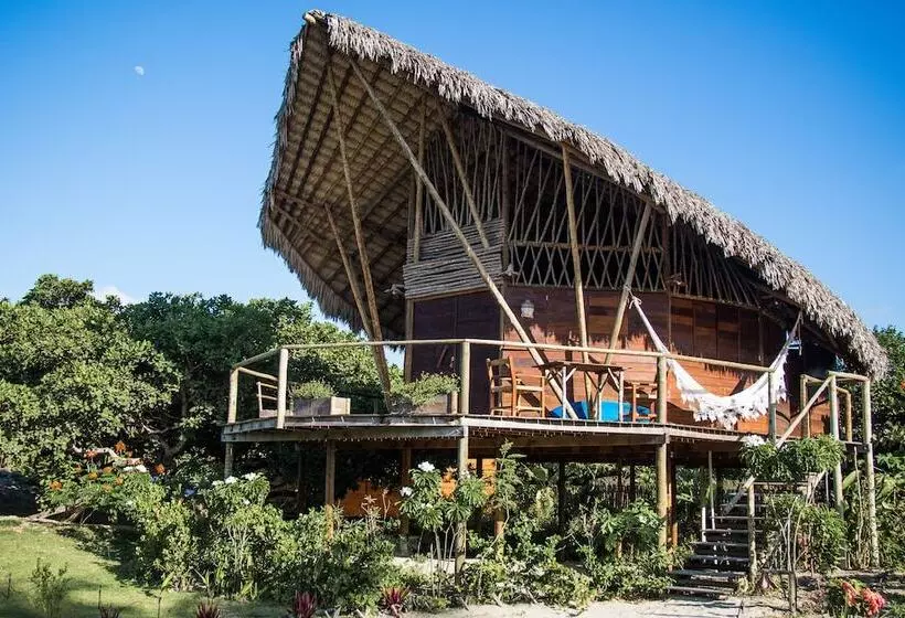 ホテル Villa Sabia  Eco Bungalows