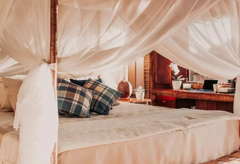 ホテル Villa Sabia  Eco Bungalows