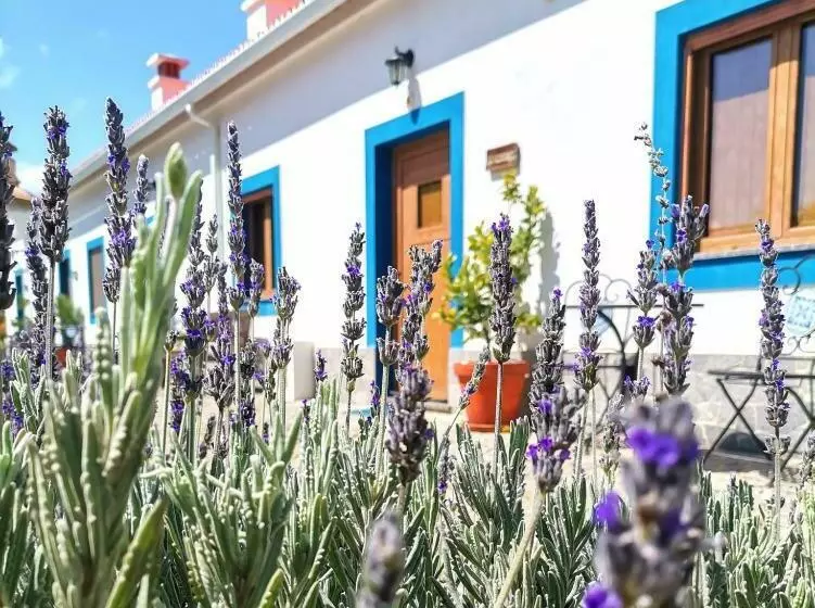 Quinta Da Idalina