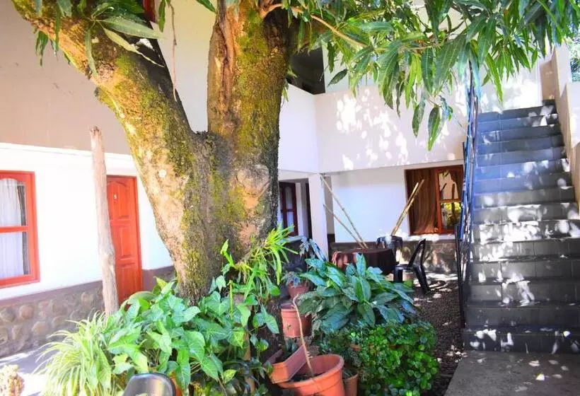 Hostelli Benitez Hosteria