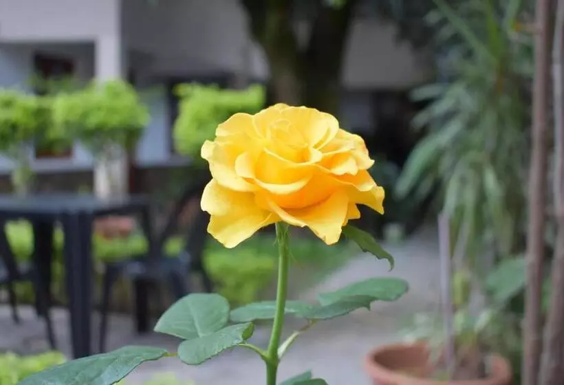 Hostelli Benitez Hosteria