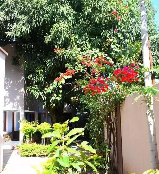 Hostelli Benitez Hosteria