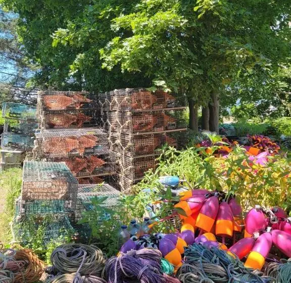 Hotelli East Wind Inn & Suites