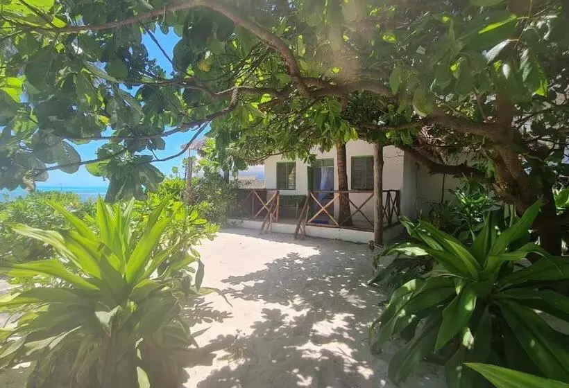 ホテル Garden Beach Bungalows Jambiani