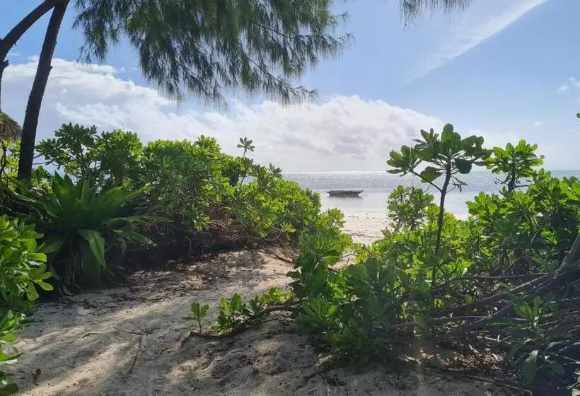 ホテル Garden Beach Bungalows Jambiani