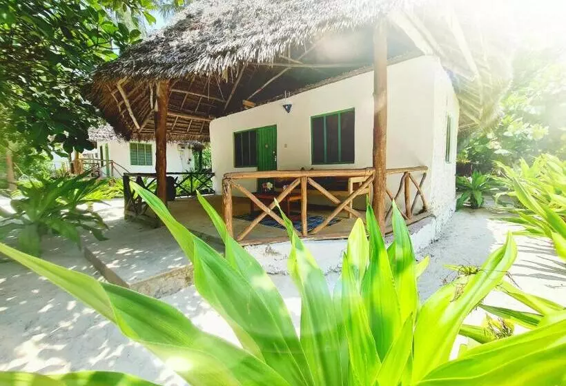 ホテル Garden Beach Bungalows Jambiani