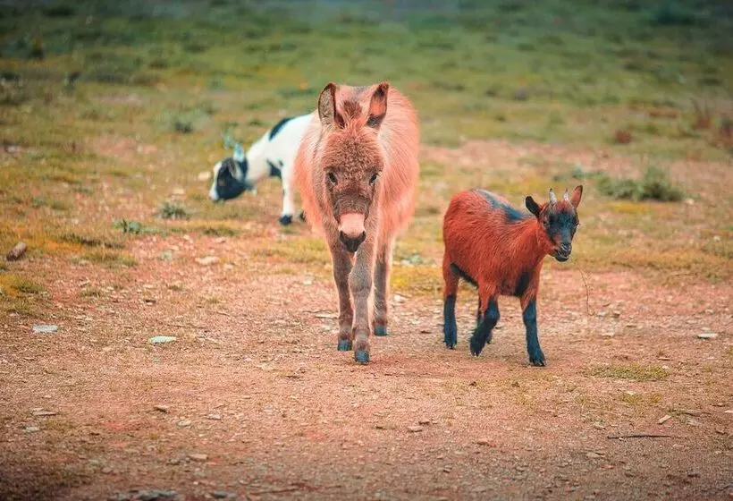 Hotelli Domaine De La Vitarelle Glamping