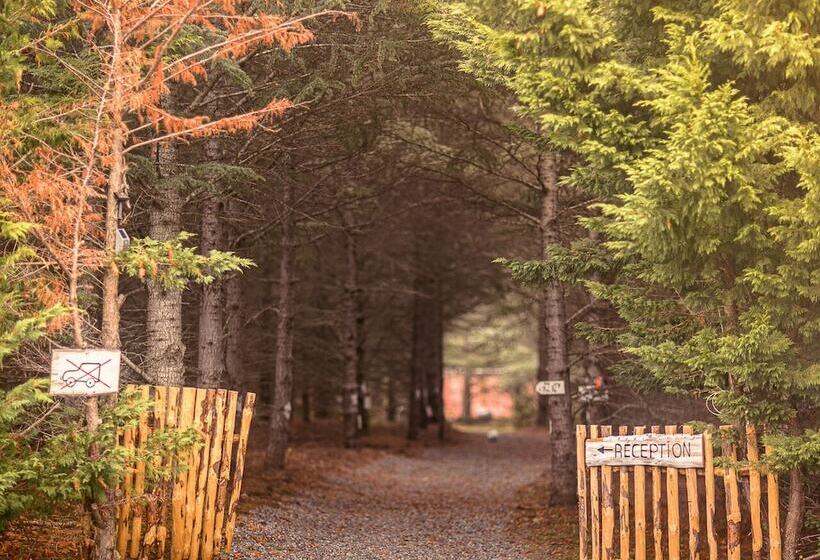 호텔 Domaine De La Vitarelle Glamping