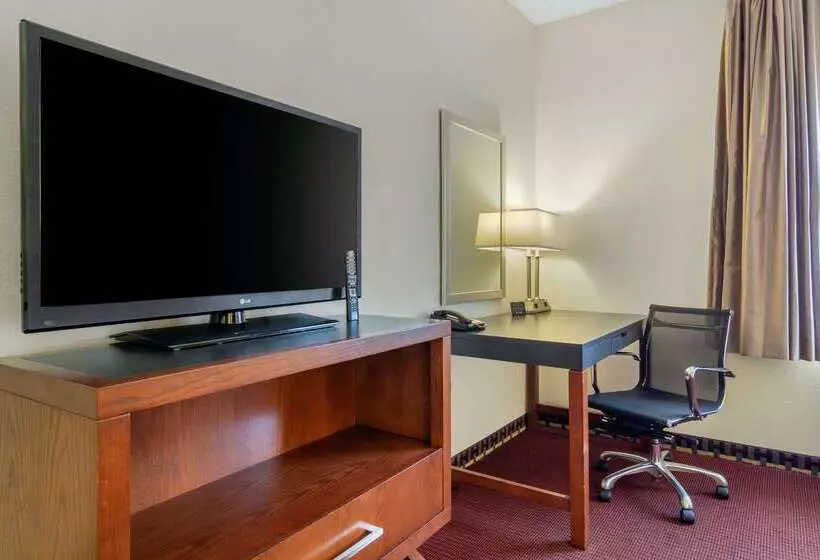 ホテル Quality Inn & Suites Lakewood  Denver Southwest