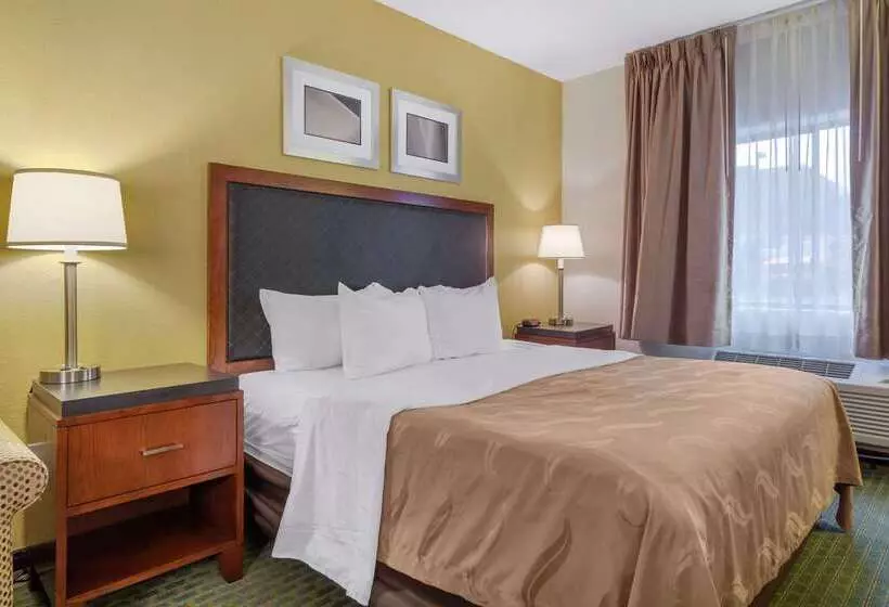 ホテル Quality Inn & Suites Lakewood  Denver Southwest