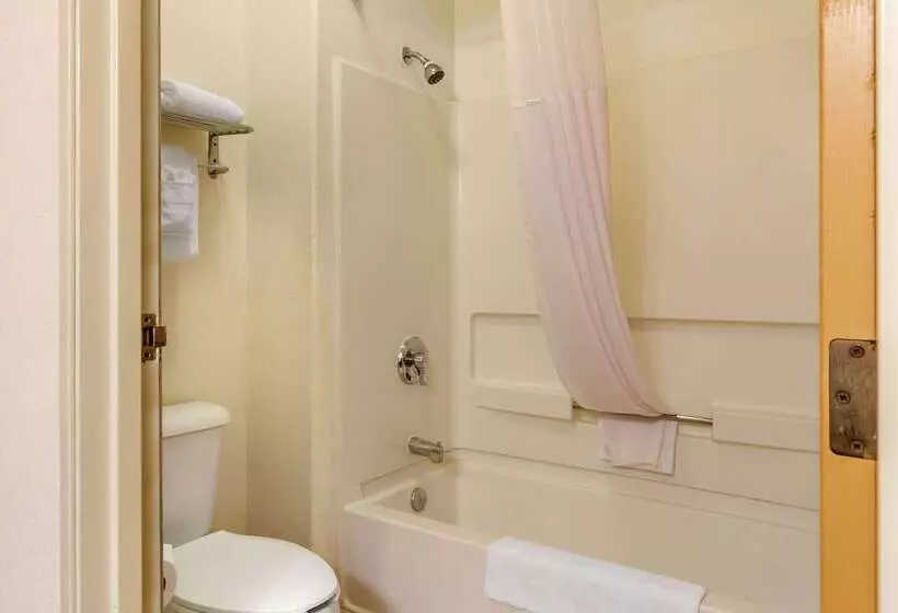 ホテル Quality Inn & Suites Lakewood  Denver Southwest