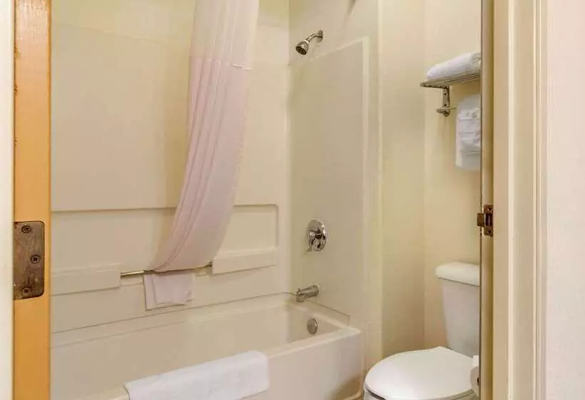 ホテル Quality Inn & Suites Lakewood  Denver Southwest