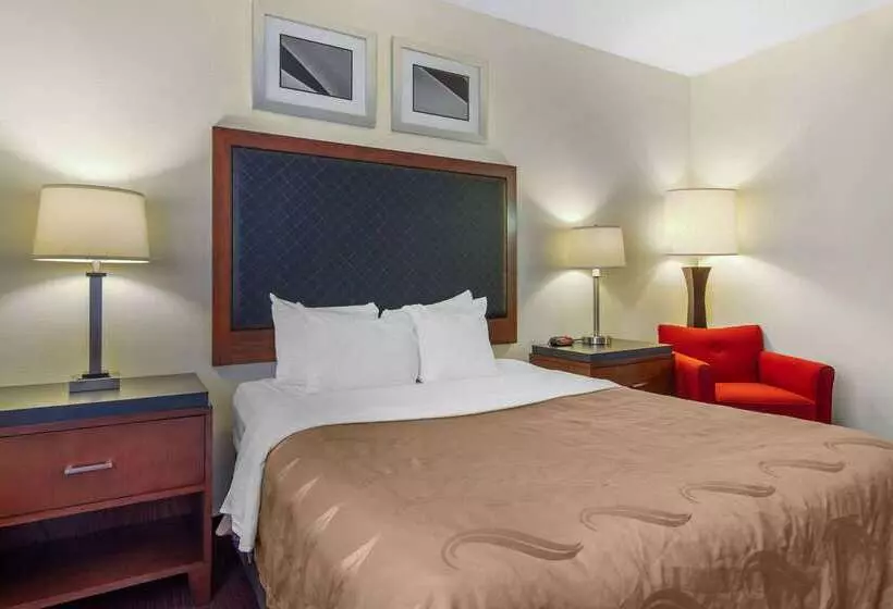 ホテル Quality Inn & Suites Lakewood  Denver Southwest