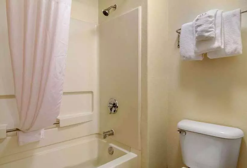 ホテル Quality Inn & Suites Lakewood  Denver Southwest