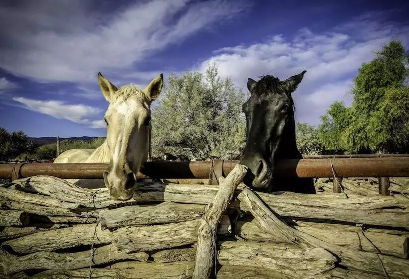 호텔 Tanque Verde Guest Ranch
