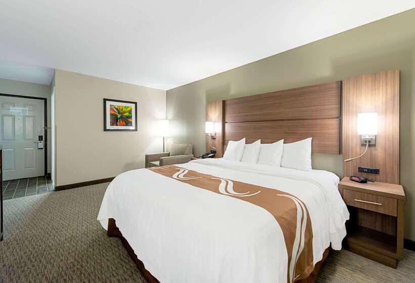 Motel Quality Inn Mishawaka   South Bend