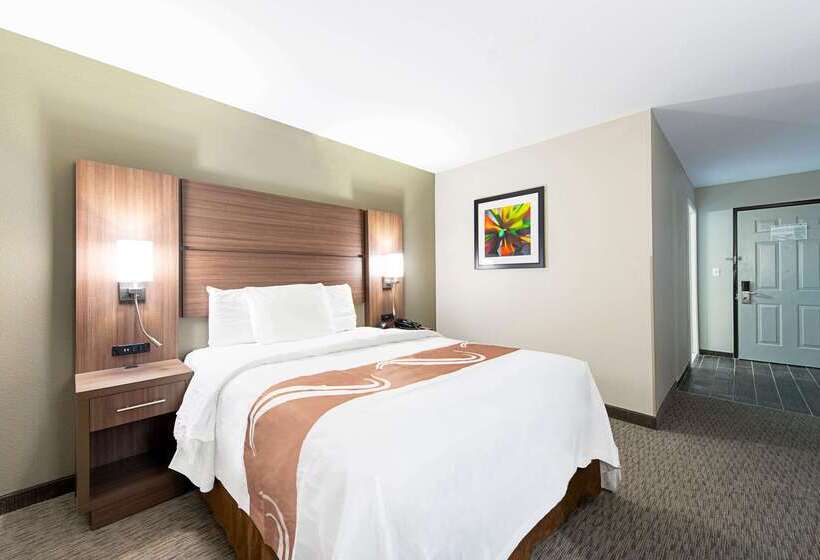 Motel Quality Inn Mishawaka   South Bend