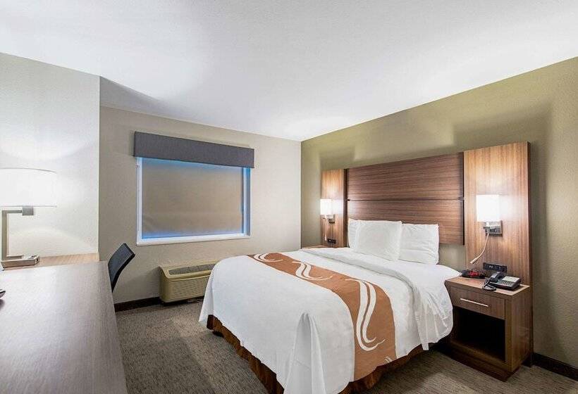 Motel Quality Inn Mishawaka   South Bend