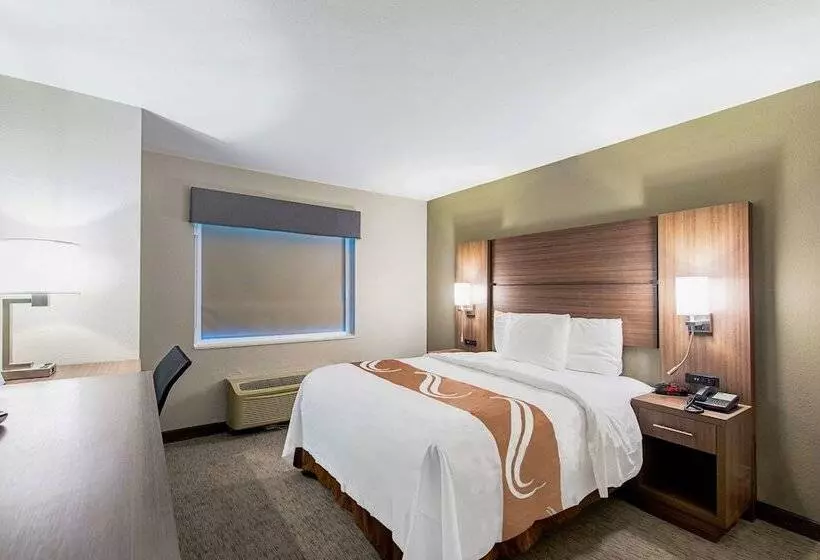 汽车旅馆 Quality Inn Mishawaka South Bend