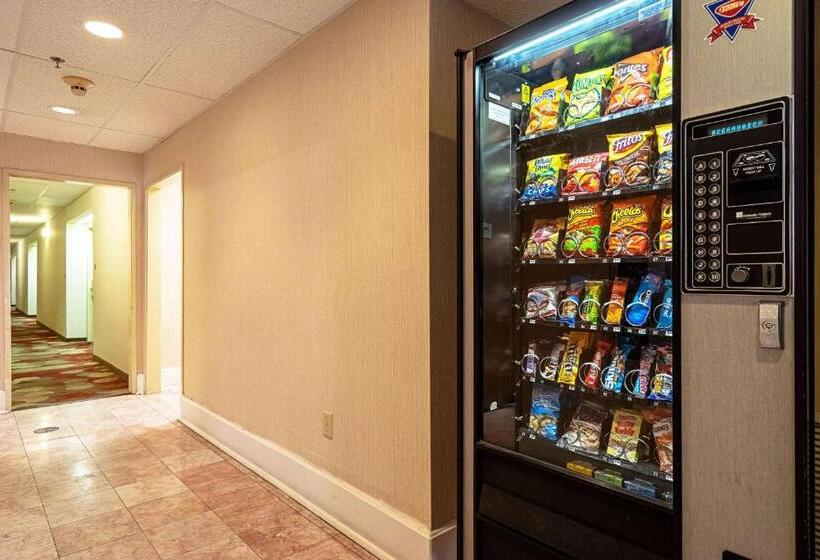 فندق على الطريق Quality Suites San Antonio Northeast