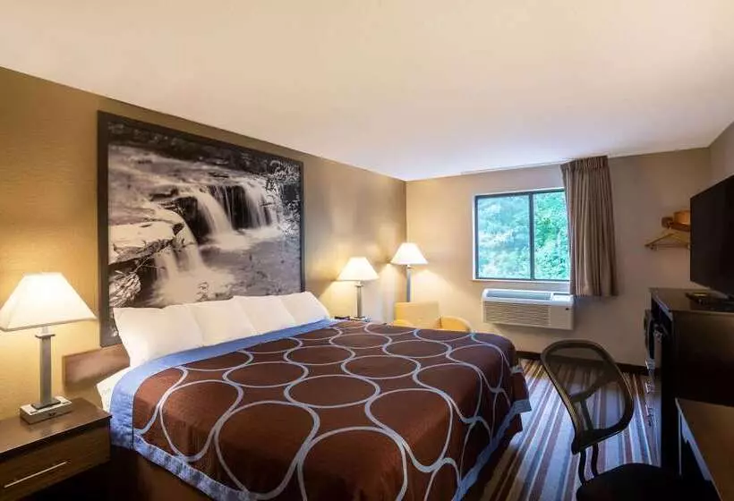 汽车旅馆 Super 8 By Wyndham Elkins