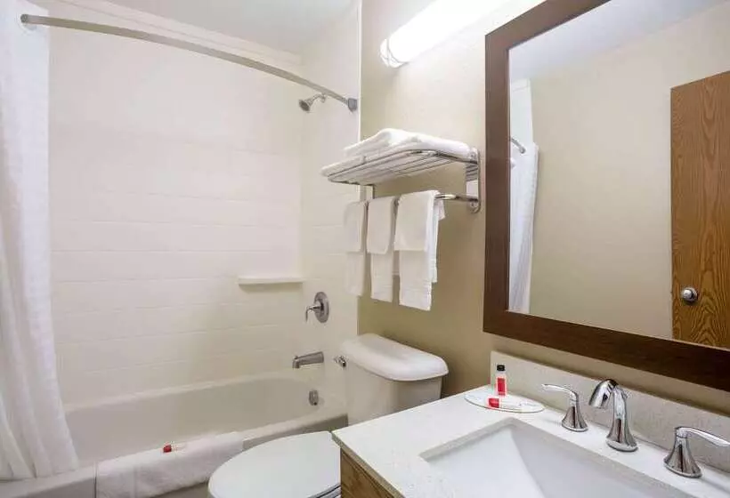 汽车旅馆 Super 8 By Wyndham Elkins