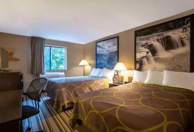 汽车旅馆 Super 8 By Wyndham Elkins