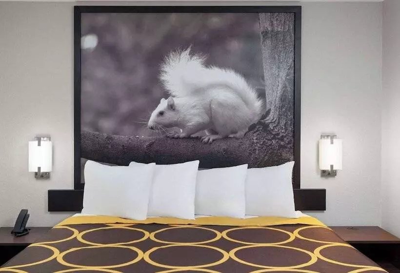 モーテル Super 8 By Wyndham Olney