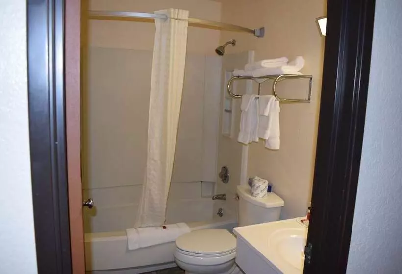 Мотель Super 8 By Wyndham Saginaw