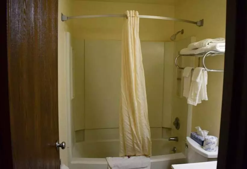 Мотель Super 8 By Wyndham Saginaw