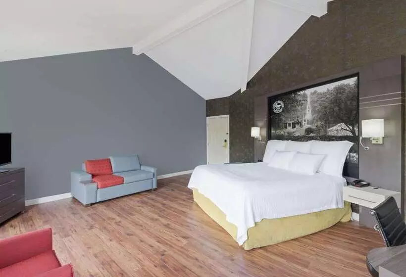 汽车旅馆 Super 8 By Wyndham Sturbridge