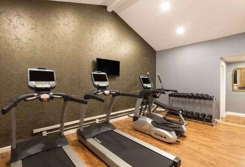 汽车旅馆 Super 8 By Wyndham Sturbridge