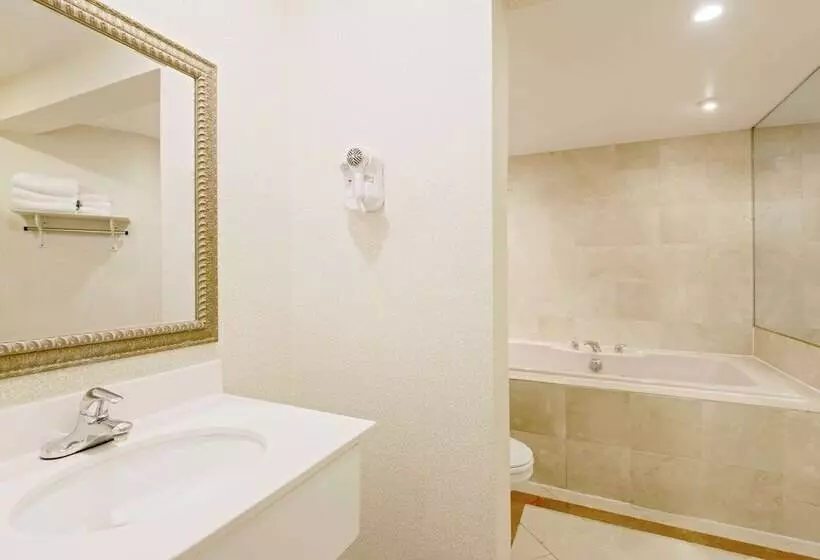 汽车旅馆 Super 8 By Wyndham Sturbridge