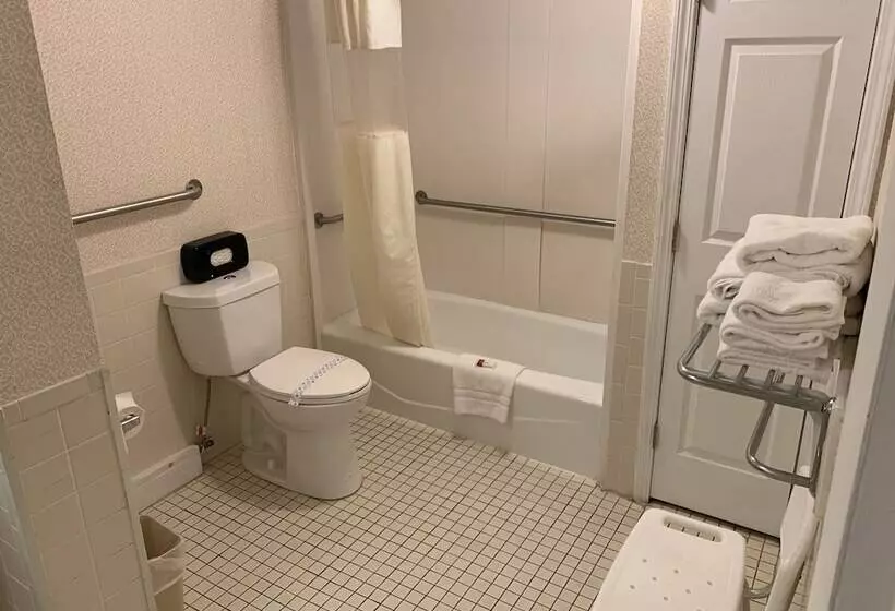 汽车旅馆 Super 8 By Wyndham Sturbridge