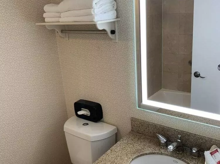 汽车旅馆 Super 8 By Wyndham Sturbridge