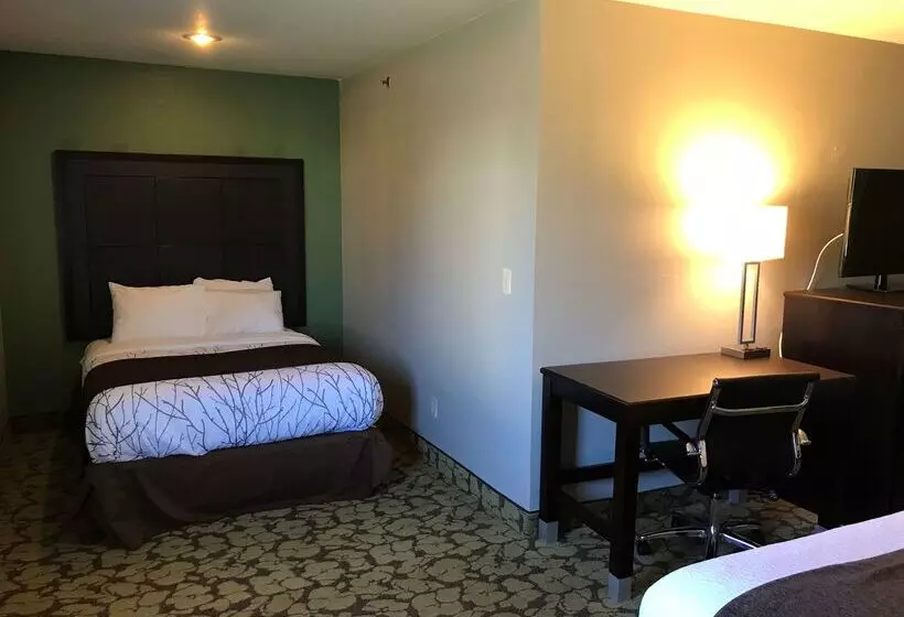 Мотель Surestay Plus Hotel By Best Western Bettendorf