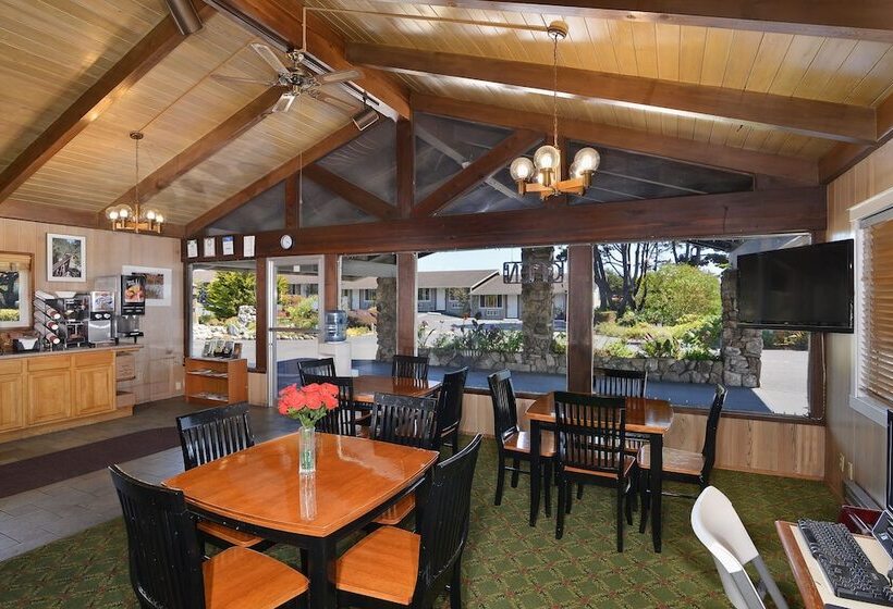 Surf Motel And Gardens