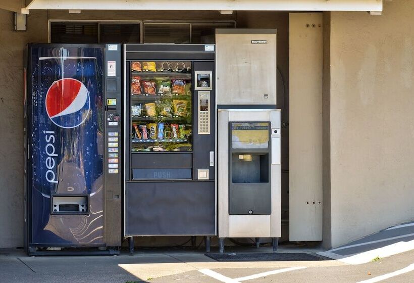 Surf Motel And Gardens