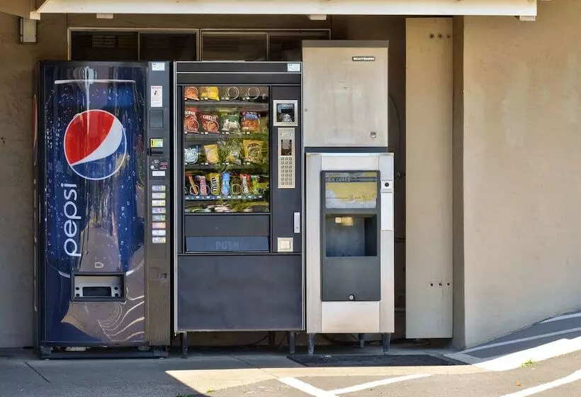 Surf Motel And Gardens