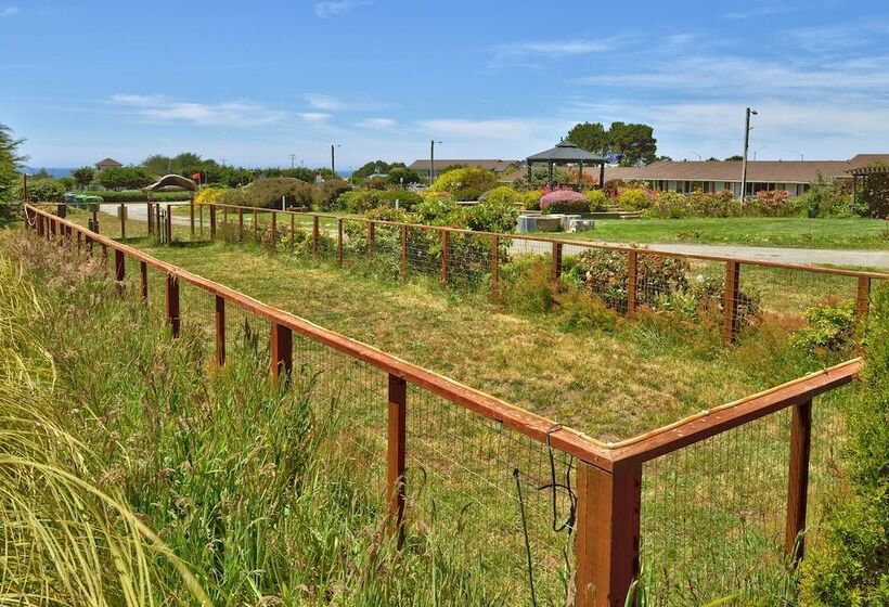 Surf Motel And Gardens