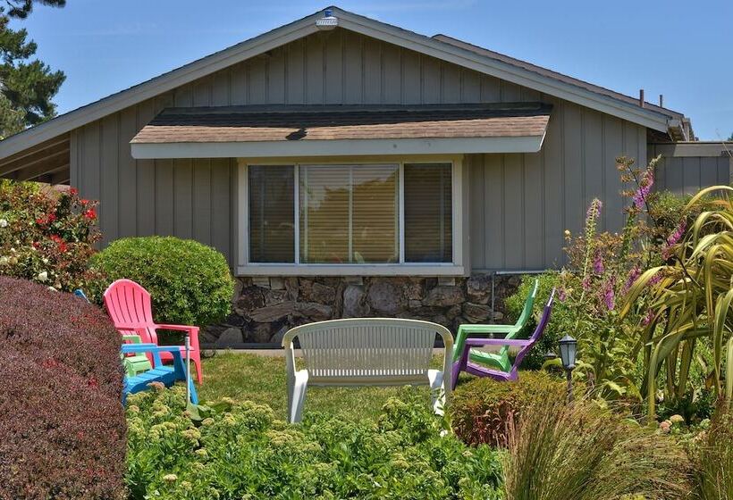 Surf Motel And Gardens