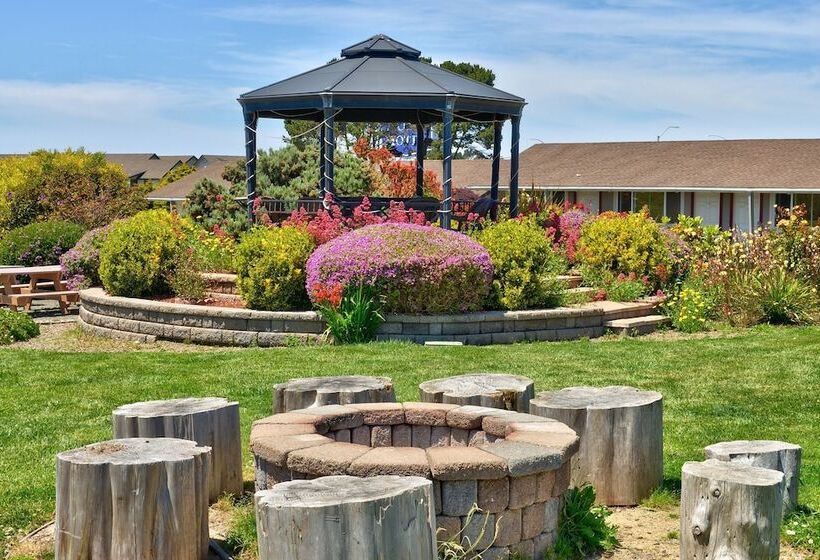 Surf Motel And Gardens