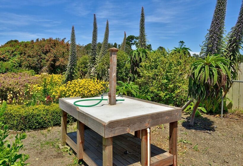 Surf Motel And Gardens