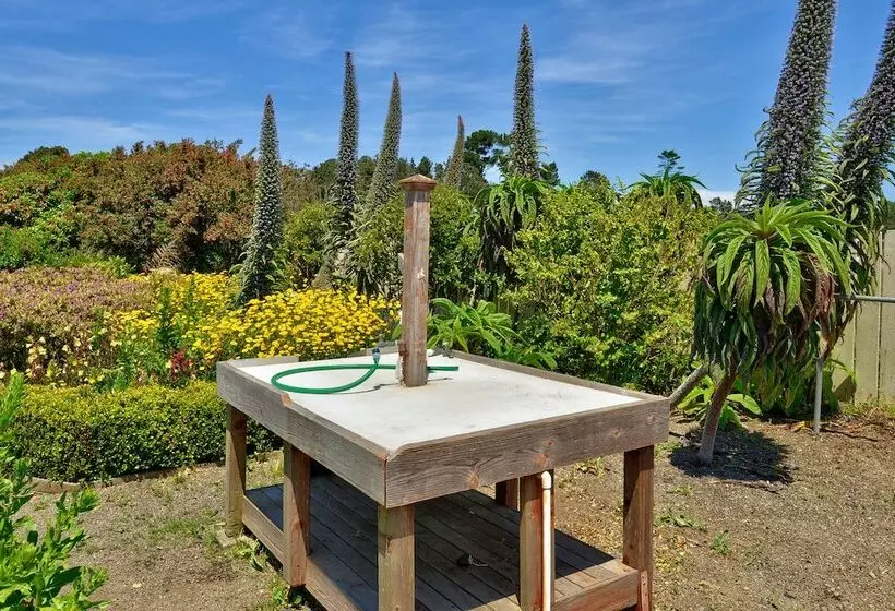 Surf Motel And Gardens