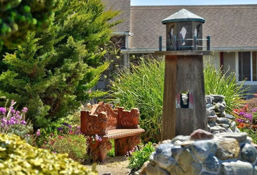 Surf Motel And Gardens