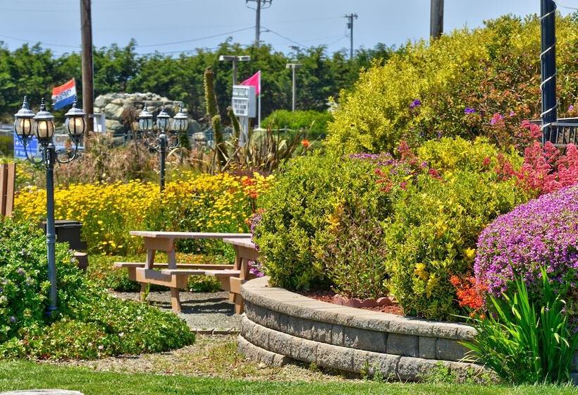 Surf Motel And Gardens
