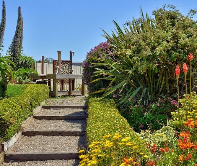 Surf Motel And Gardens