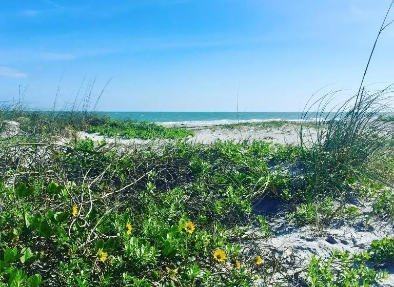 Surf Studio Beach Resort