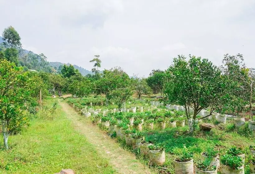 Hotelli Villa Jeruk By Oyo Rooms