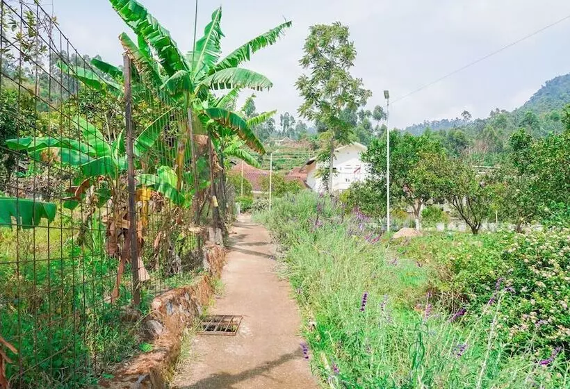 Hotelli Villa Jeruk By Oyo Rooms